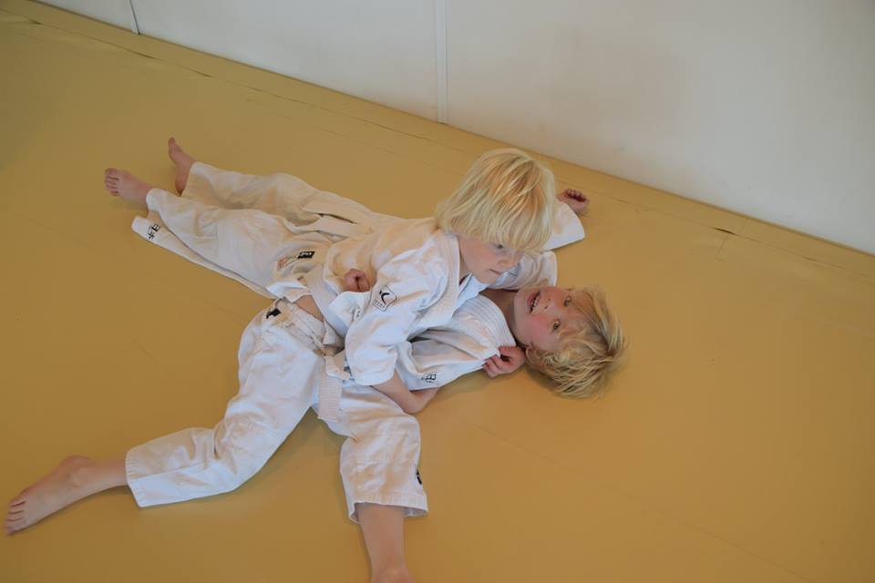 judolessen